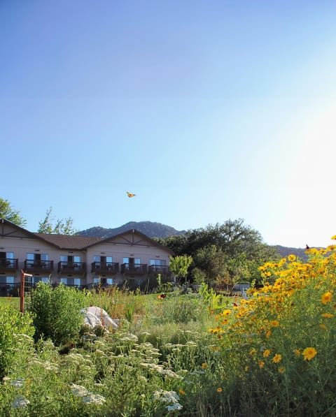 Property building, Garden, Garden view