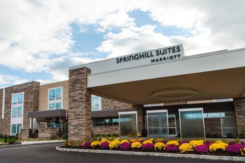 SpringHill Suites by Marriott Somerset Franklin Township Hotel in Piscataway