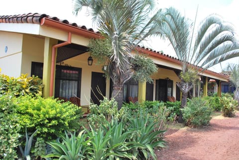 Dos Palmas Studio Apartments Alojamiento y desayuno in Alajuela