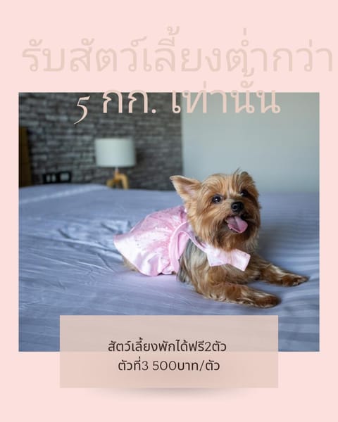Get Zleep Premium Budget Hotel Hôtel in Chiang Mai