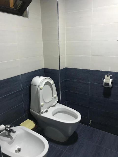 Toilet, Bathroom, bidet