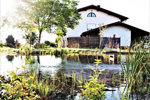 Garden, Swimming pool