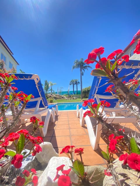 Pool view, Swimming pool, sunbed