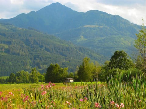 Natural landscape