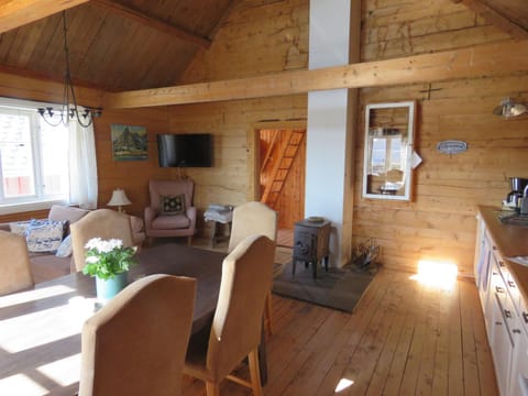 TV and multimedia, Kitchen or kitchenette, Living room, Seating area, Dining area, fireplace