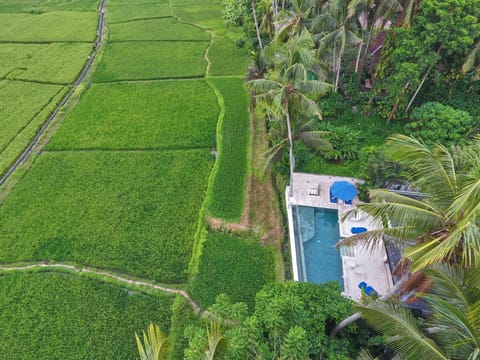 Villa Balinese Luxurious Elegance Villa in Sukawati