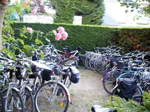 Activities, Garden, Cycling, Area and facilities