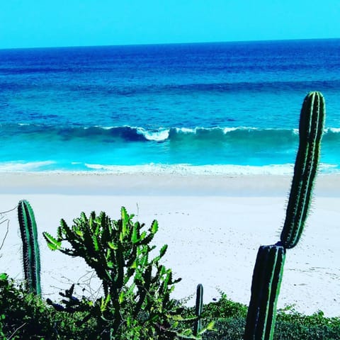 Centro Sati Bungalow Resort in State of Oaxaca