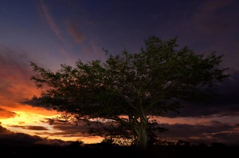 Natural landscape, Sunset