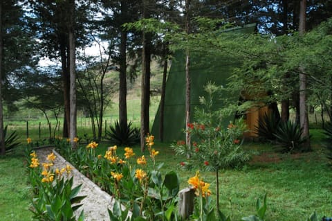Inraki Lodge Capanno nella natura in Quito