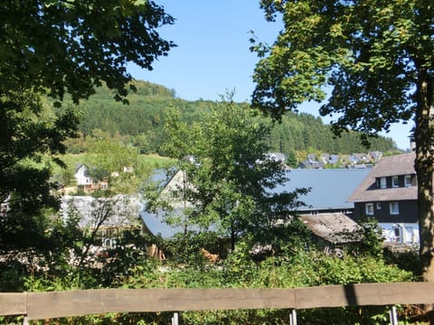 Beautiful holiday home near the ski area Apartment in Schmallenberg