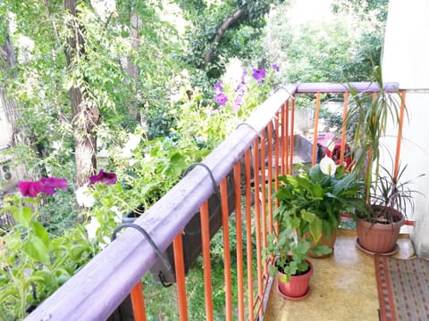 Garden, Balcony/Terrace, Area and facilities