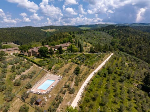 Bird's eye view, Swimming pool