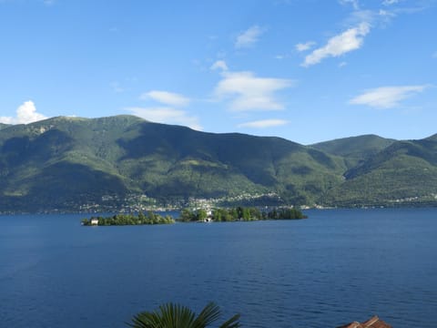 Nearby landmark, Landmark view