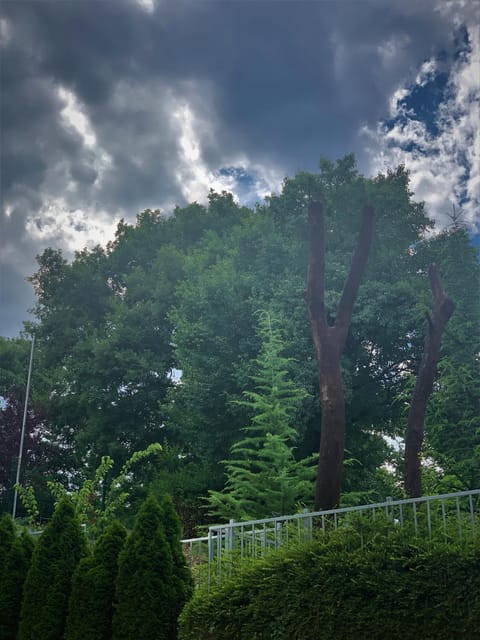 Staff, People, Garden, Decorative detail, Garden view, Street view, Family, Quiet street view