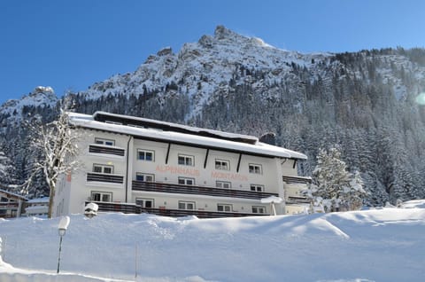 Property building, Winter, Garden, On site