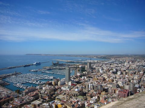 Nearby landmark, Bird's eye view