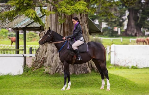 Off site, Horse-riding