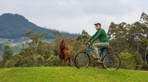 Off site, Cycling