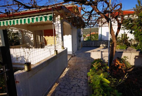 Property building, Garden view