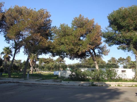 Natural landscape, View (from property/room)