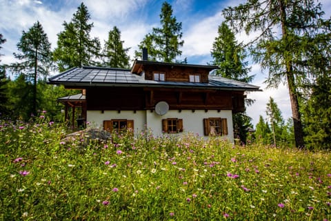 Property building, Day, Summer