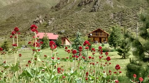 Off site, Garden view