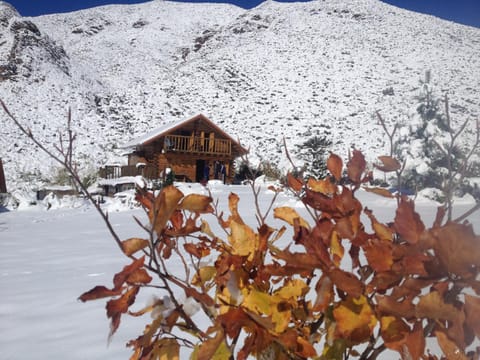 Facade/entrance, Day, Garden, Autumn, Mountain view