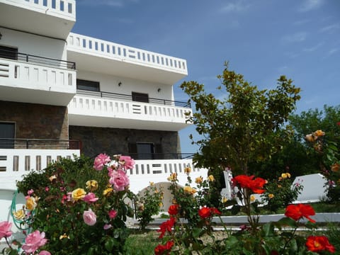 Zourpos Studios & Apartments Condo in Crete