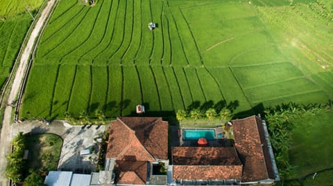 Property building, Natural landscape, Bird's eye view