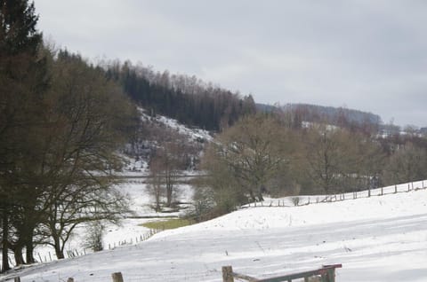 Nearby landmark, Natural landscape