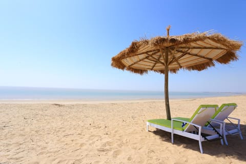 Serena Beach Resort Resort in Gujarat