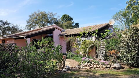 Facade/entrance, Garden