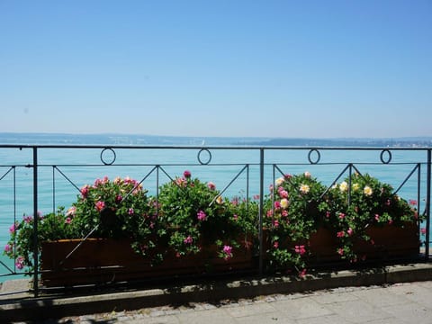 Pension Ins Fischernetz - Hanser Chambre d’hôte in Meersburg