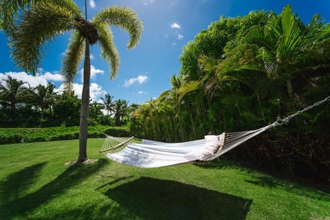 Luxury Private Villas with Pool Beach BBQ Villa in Punta Cana