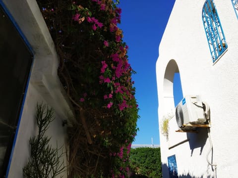 Property building, Facade/entrance, Garden view