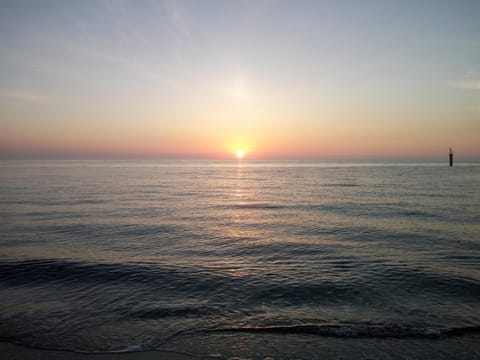 Natural landscape, Activities, Beach