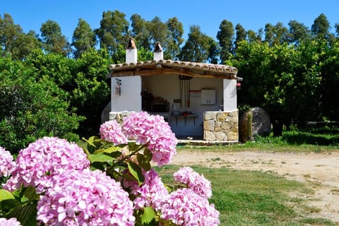 Luna&Limoni Country Farm Stay in Sardinia