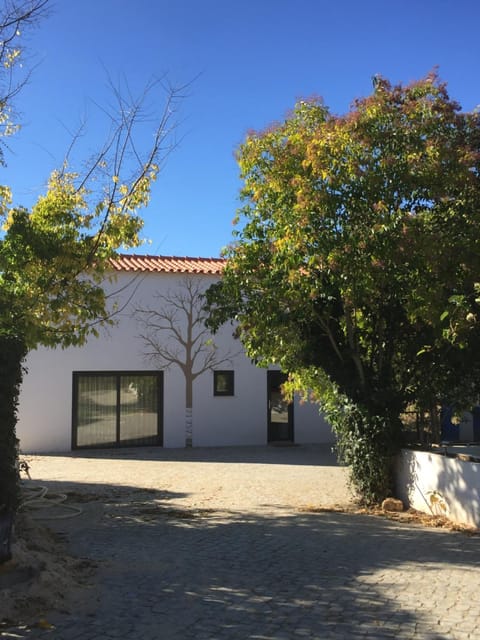 Patio, Garden, Decorative detail, Inner courtyard view