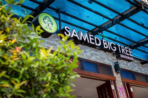 Samed Big Tree Bed and Breakfast in Phe