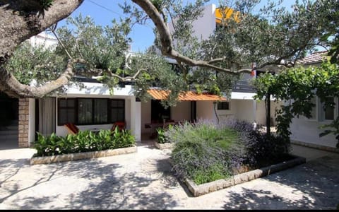 Patio, Garden, Balcony/Terrace