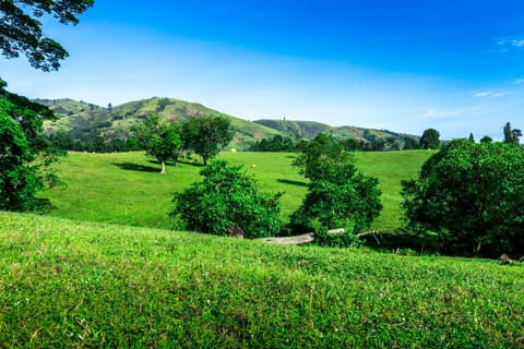 Natural landscape, Hiking, Garden view