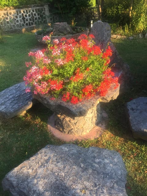 Il Ghiro B&B Bed and Breakfast in Province of Massa and Carrara