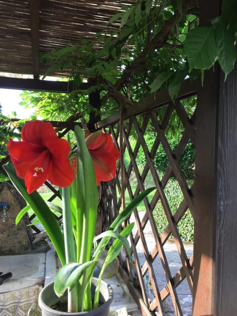 Il Ghiro B&B Bed and Breakfast in Province of Massa and Carrara