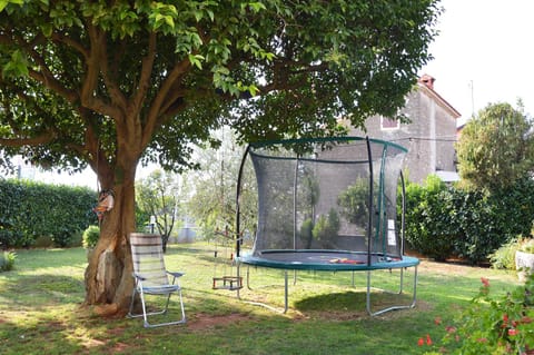 Garden, Other, Entertainment