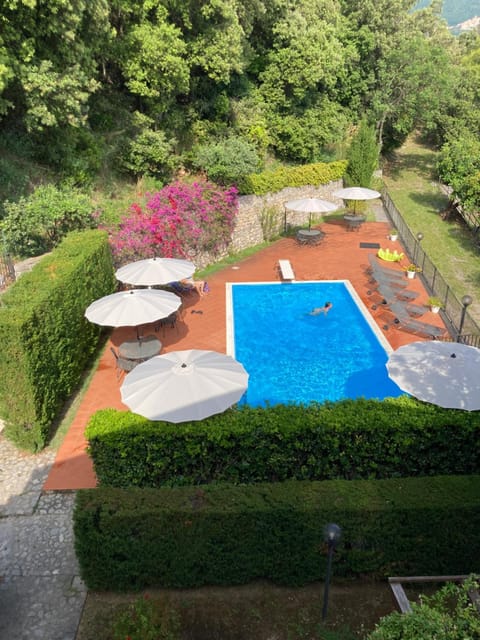 Garden view, Swimming pool