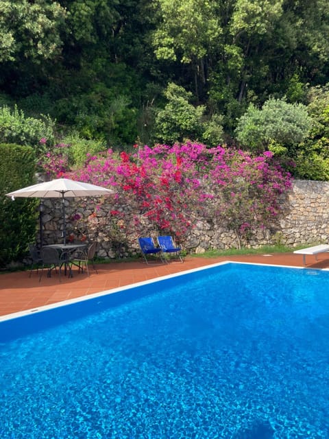 Day, Garden, Pool view, Swimming pool