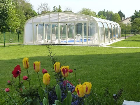 Garden, Swimming pool