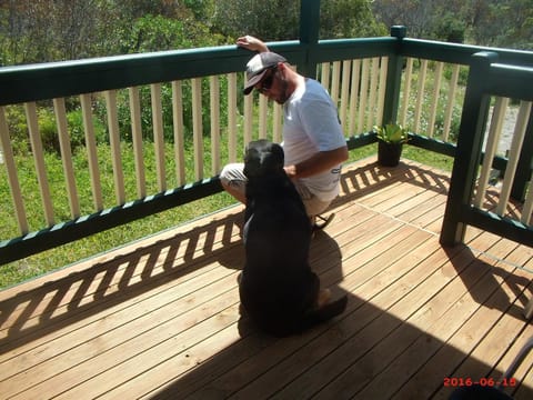 People, Balcony/Terrace, Pets, Guests, Garden view