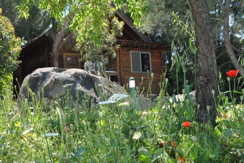 wooden Edge Of The Village Nature lodge in North District